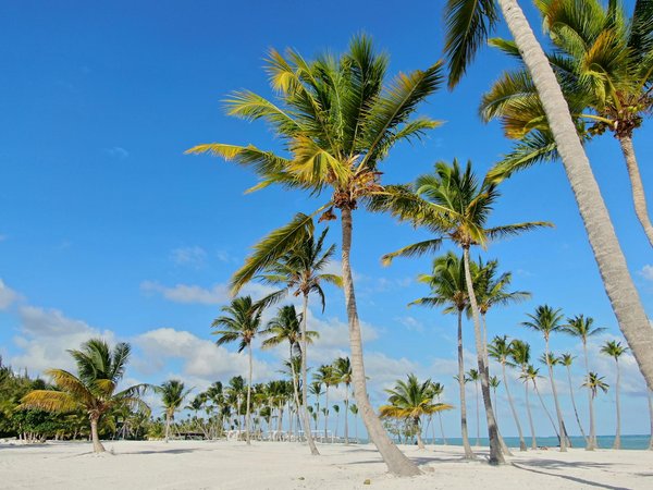 Come le usanze regionali modellano le celebrazioni festive in italia: scopri l'influenza delle tradizioni locali