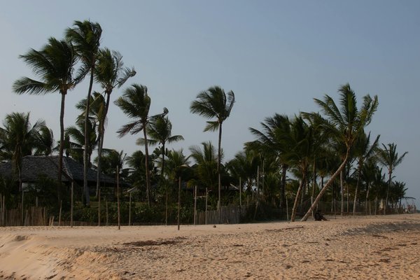 Scopri come assicurarti il miglior affare per il noleggio auto durante le tue vacanze!