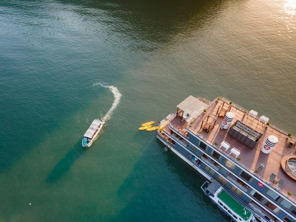 Come organizzare una campagna di volontariato durante il campeggio?