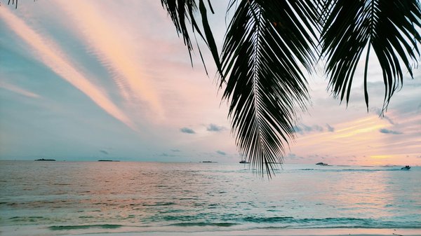 I festival gastronomici imperdibili in italia: scopri i migliori eventi culinari del bel paese!